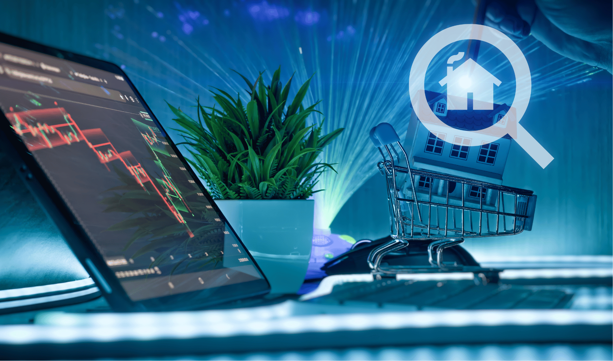 תמונת נושא למאמר – נדלן למתחיליםן